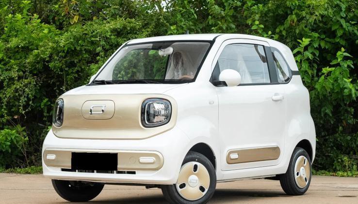 下死手了！微型代步车“黑马”3.49万起售，纯电续航222km