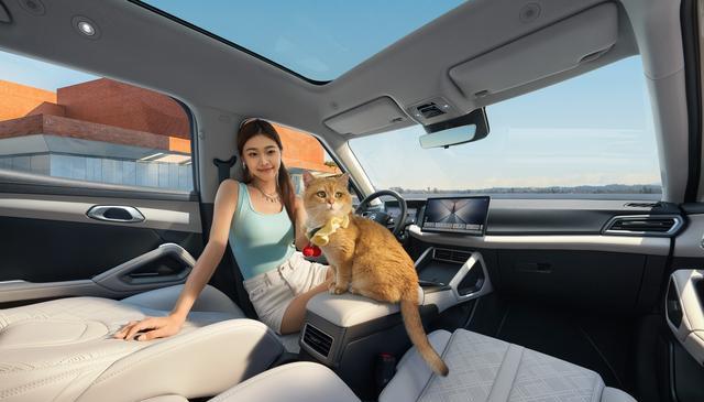 每个月1.5万人买，充一次电能跑一周，比亚迪新车7万出头就能买