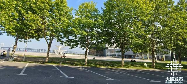 市民出行要300米见绿、500米见园！大连又一批口袋公园亮相