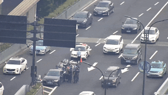 事发杭州高架！男子被交警、民警、巡特警紧急截停…