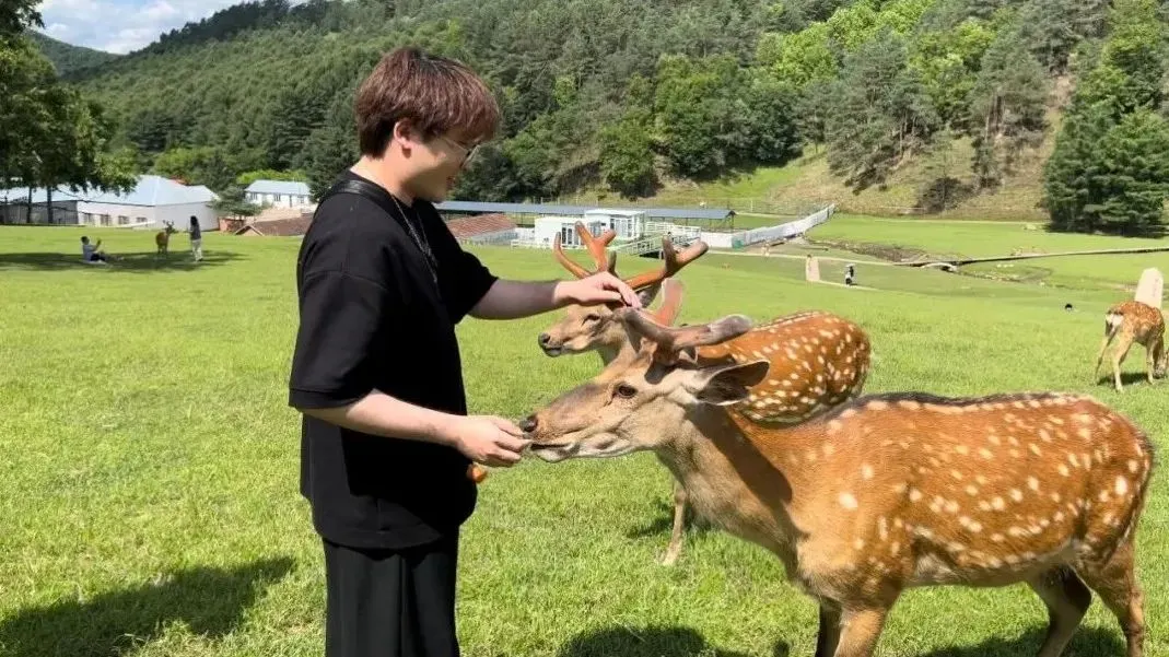 花4万在鹤岗买房的人，真实生活曝光：有人开始卖房、有人进退两难、有人彻底安家