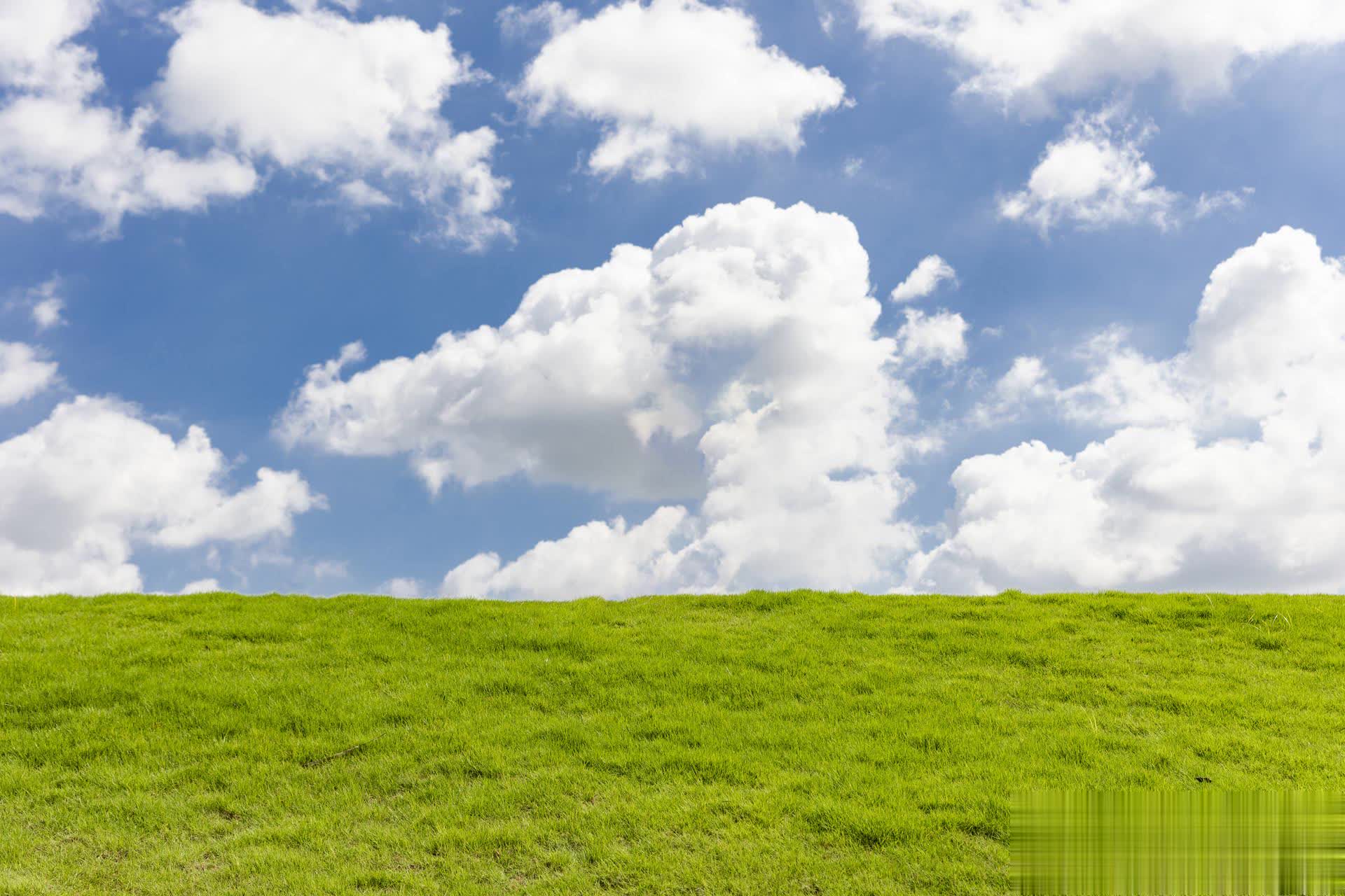 真正内心强大的人，都懂得降低期待，减少依赖，靠自己