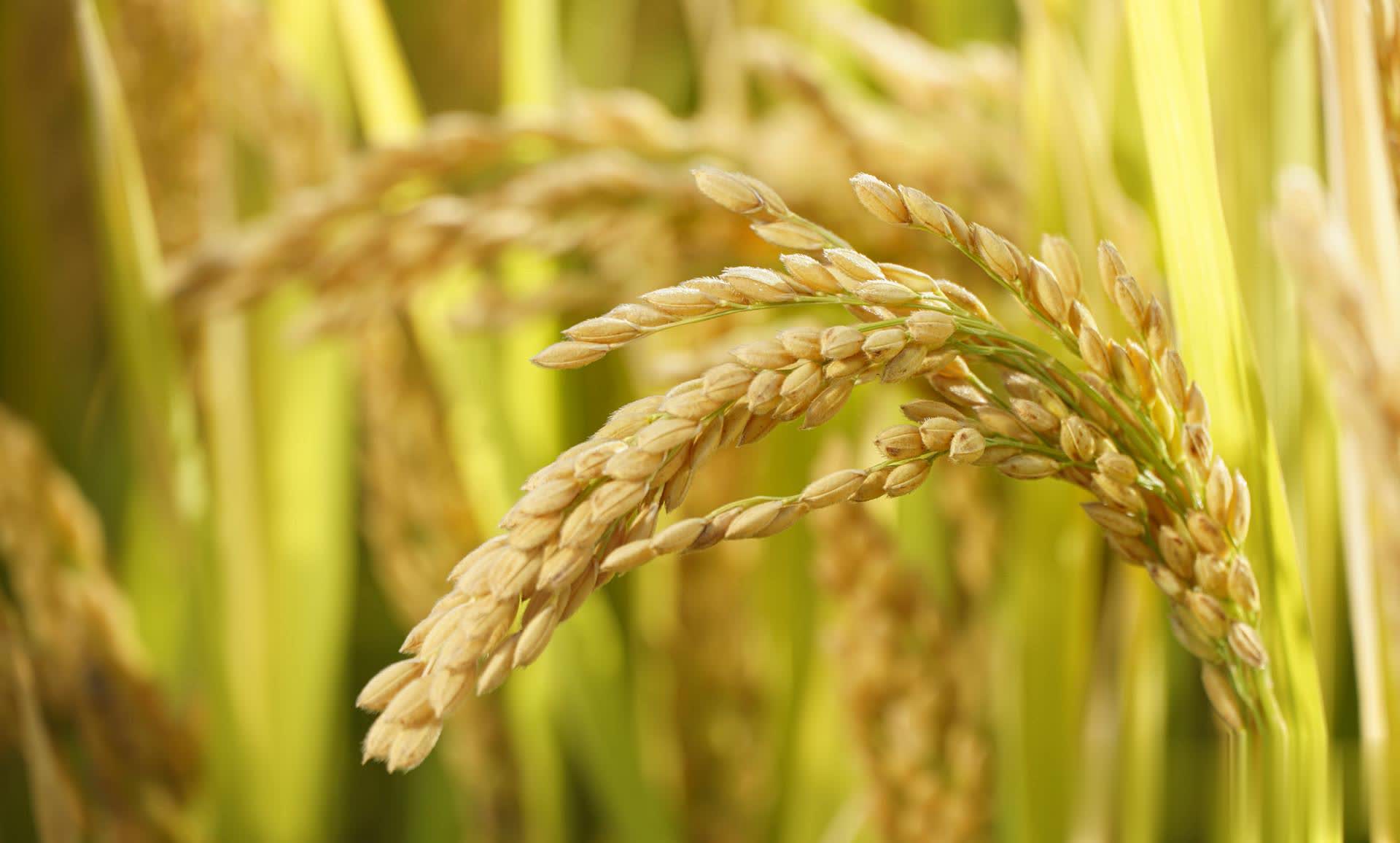 真正内心强大的人，都懂得降低期待，减少依赖，靠自己