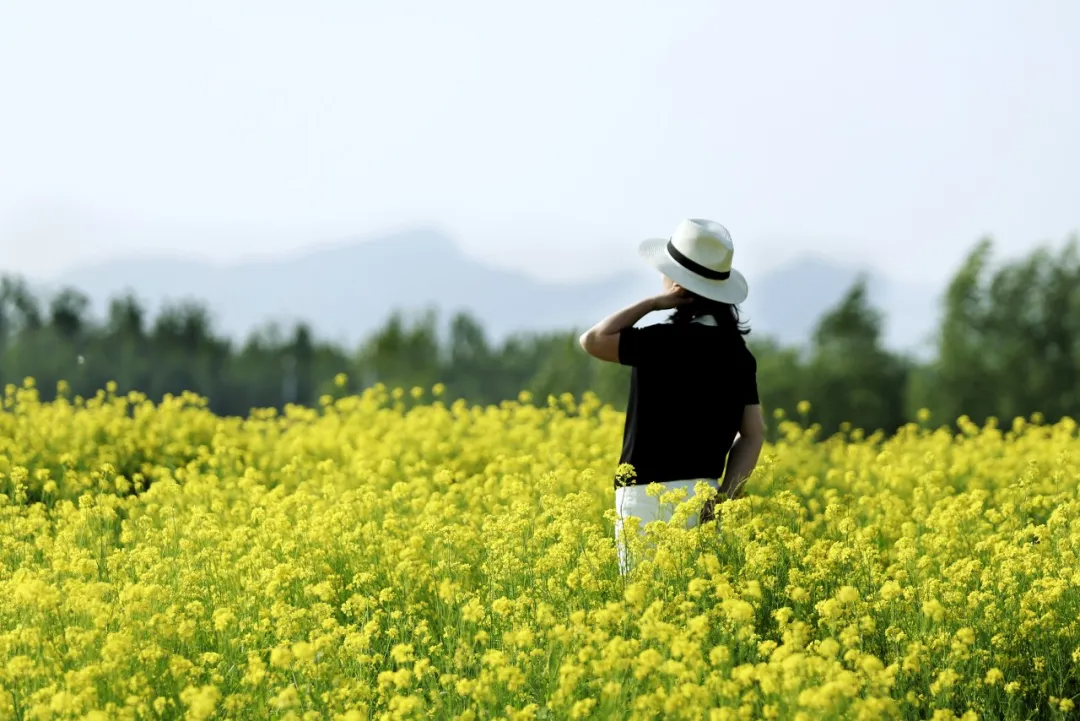 在单位上班千万要记住：只要工资每月按时发放，岗位没动，待遇没减，就不要太在意其他人，该上班上班，把他们当路人，你就赢了