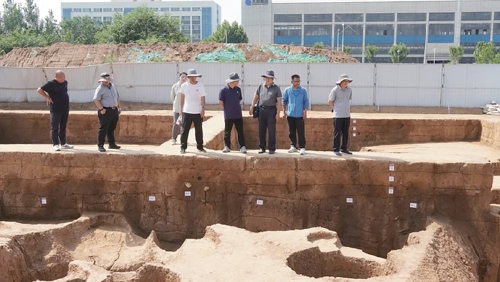 高新区谢家村遗址考古发掘取得重要收获