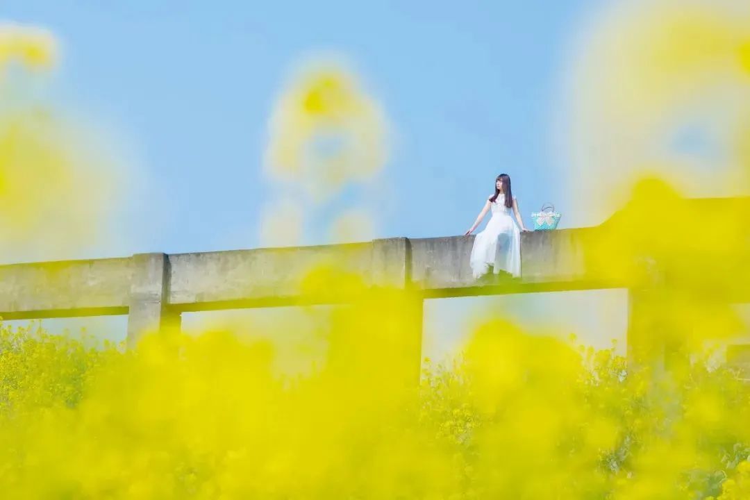 当婆婆不待见你时,越讨好越没用:主动拉开距离,无视她的刁难,过好自己的生活,才是明智之举