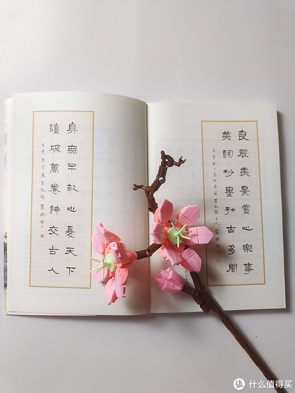 不要把自己弄的太累，生活不易，且慢慢行