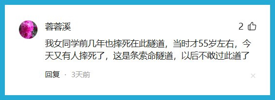 上海阿姨骑车摔倒，伤势过重死亡！40米有14条，减速带夺命？网友吵翻