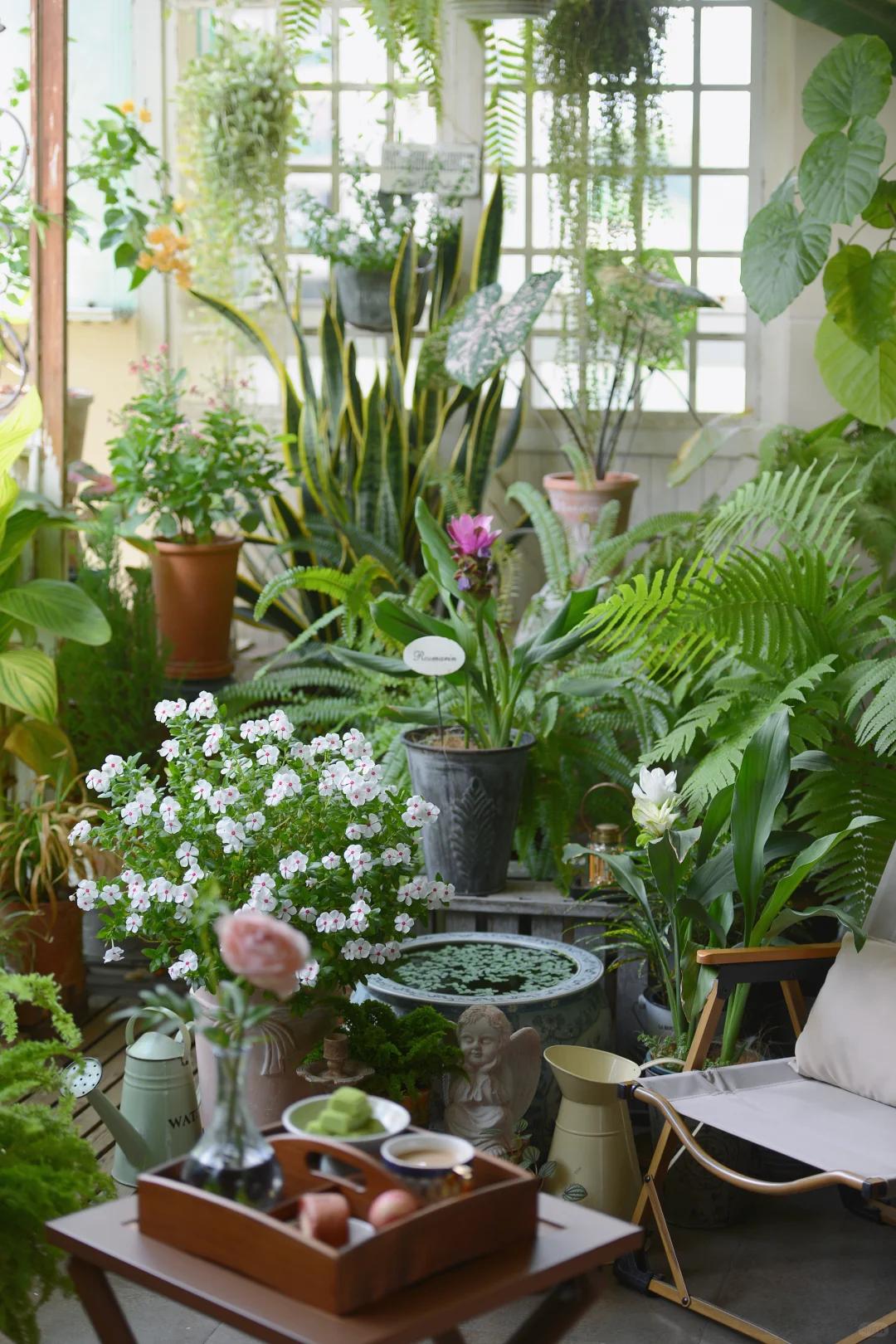 当所有人都在路上，我选择在阳台停下！