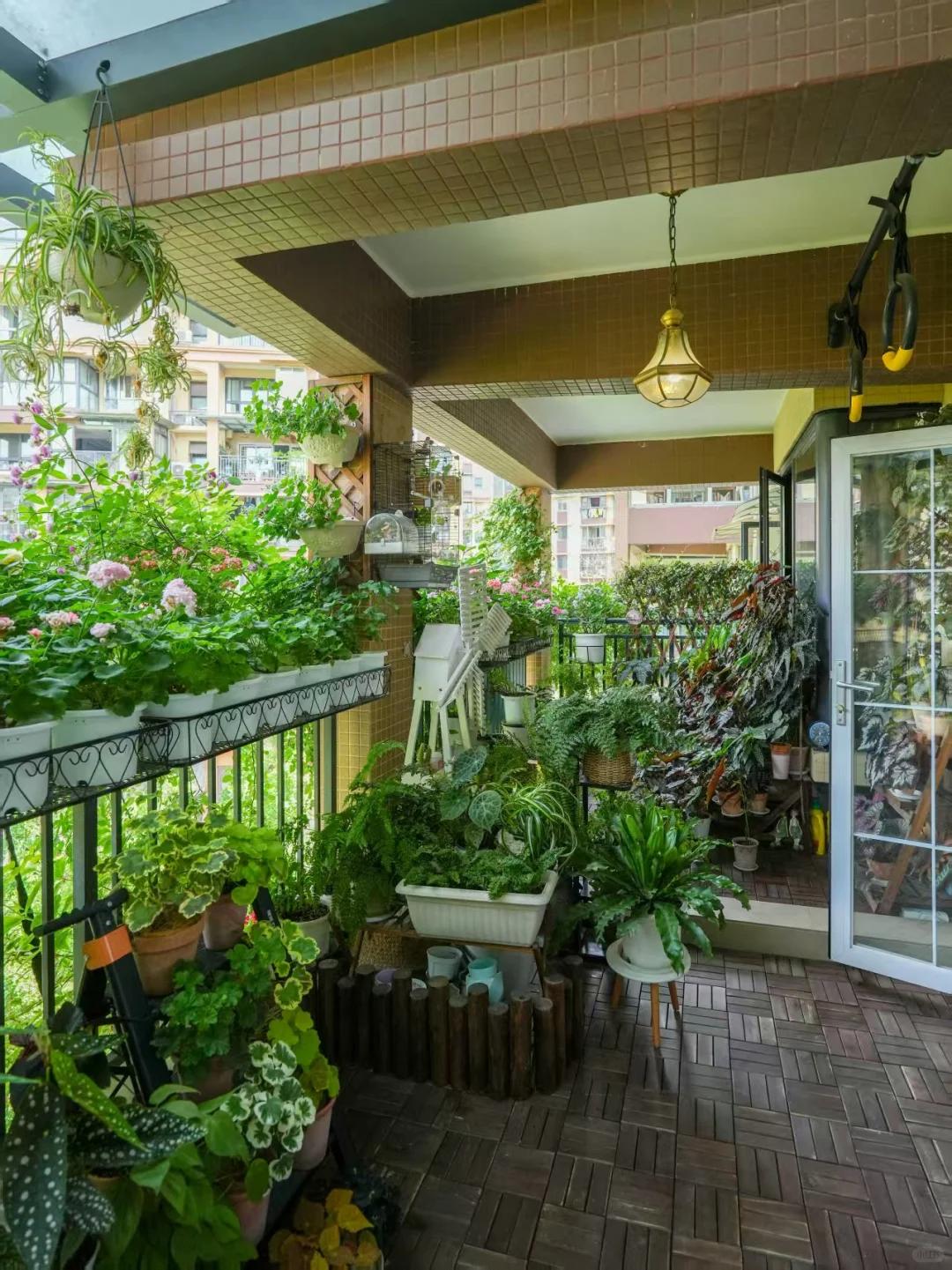 当所有人都在路上，我选择在阳台停下！