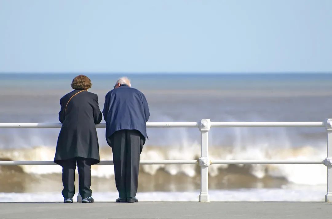 提前退休的真相：理想与现实的博弈