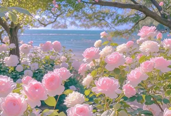 若知今日残局难收，悔不当初心存侥幸