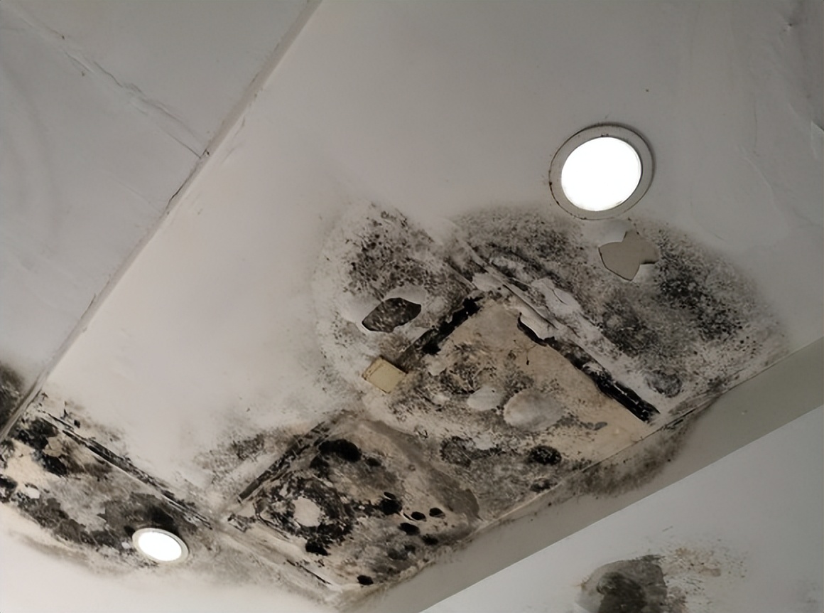 越来越多人避开二楼，住过的人说出几个现实原因