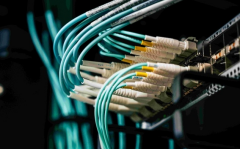 2025西部数码服务器评测：安全性、性价比与稳定